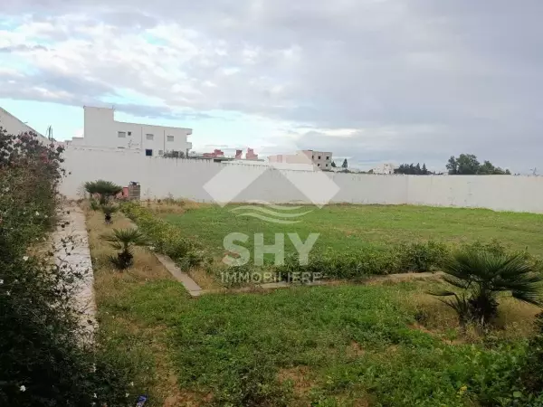 SHY Immobilière - Hammamet