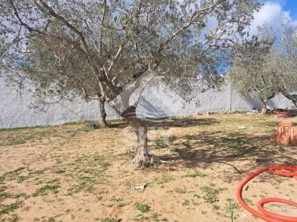 SHY Immobilière - Hammamet