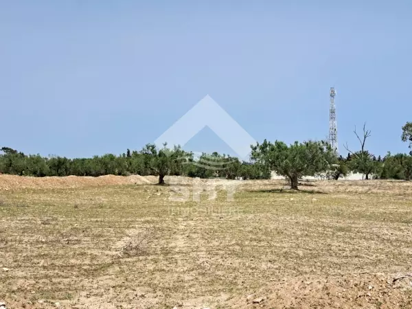 SHY Immobilière - Hammamet