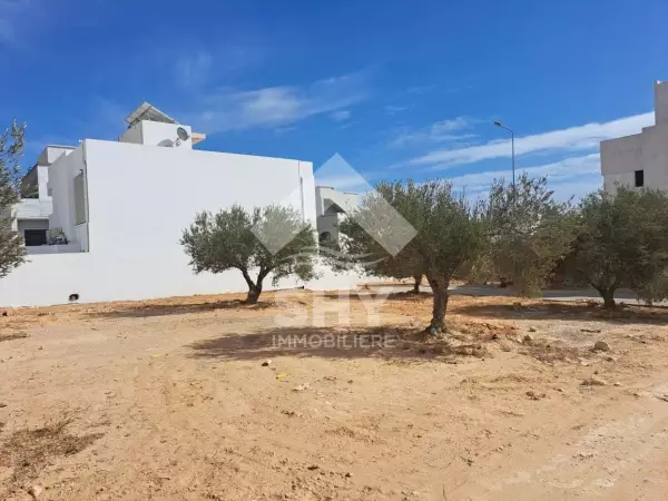 SHY Immobilière - Hammamet