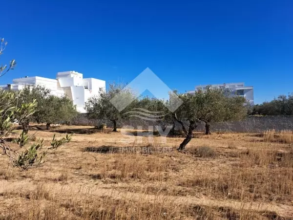 SHY Immobilière - Hammamet