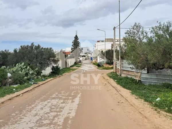 SHY Immobilière - Hammamet