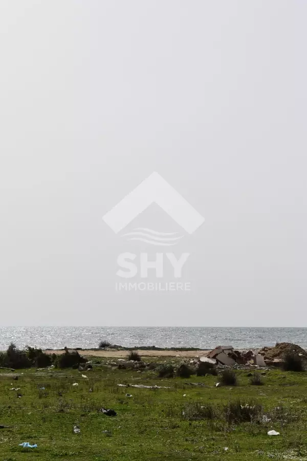 SHY Immobilière - Hammamet