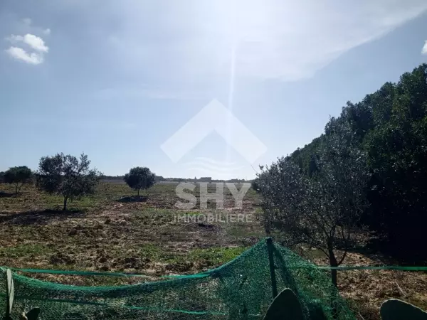 SHY Immobilière - Hammamet