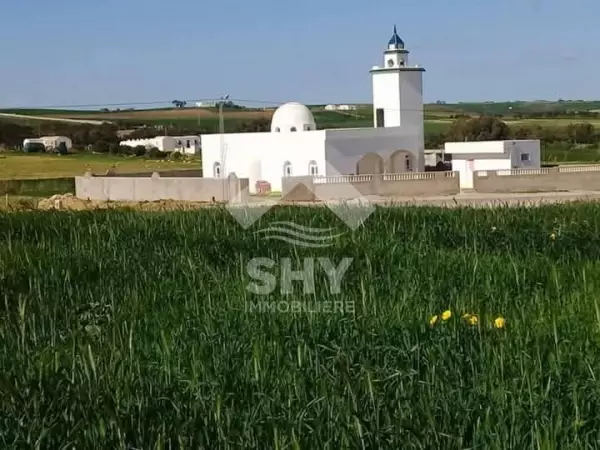 SHY Immobilière - Hammamet