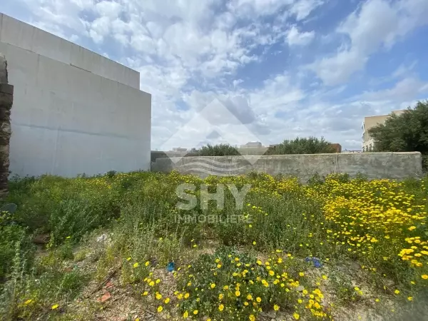 SHY Immobilière - Hammamet