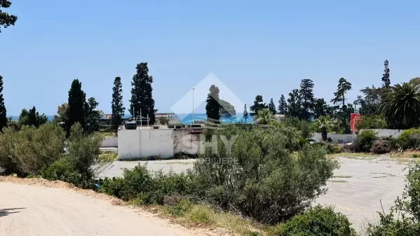 SHY Immobilière - Hammamet