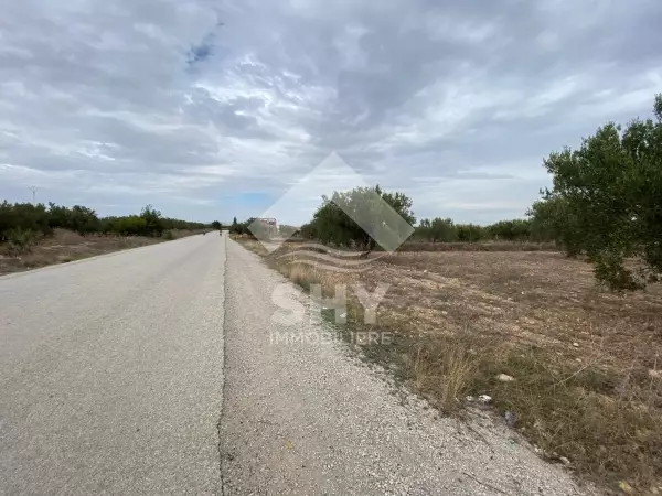 SHY Immobilière - Hammamet