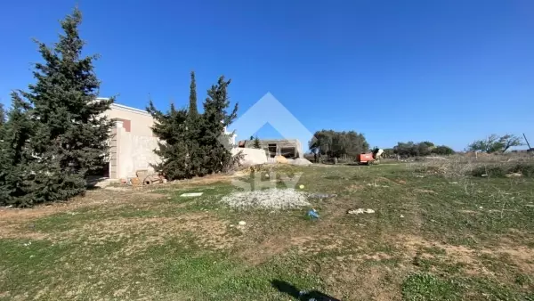 SHY Immobilière - Hammamet