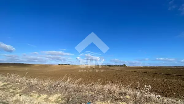 SHY Immobilière - Hammamet