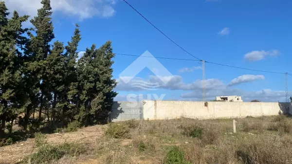 SHY Immobilière - Hammamet