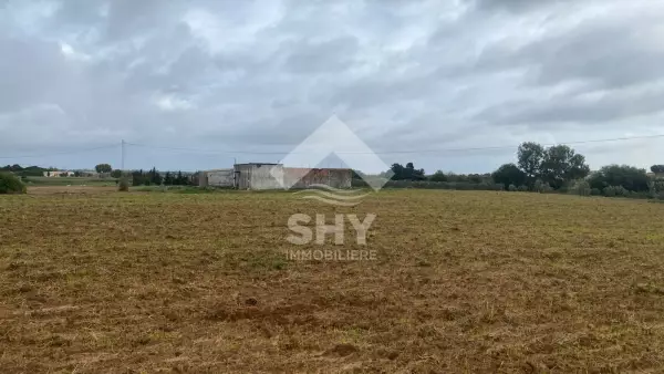 SHY Immobilière - Hammamet