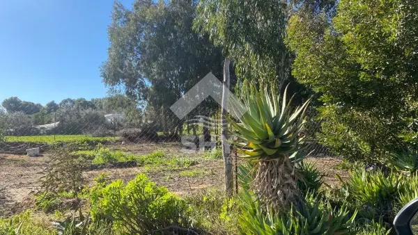 SHY Immobilière - Hammamet