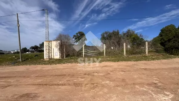 SHY Immobilière - Hammamet