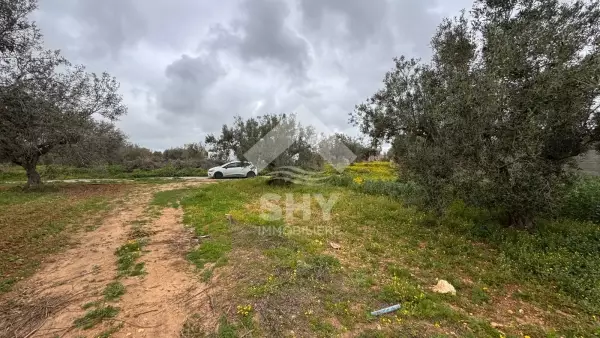 SHY Immobilière - Hammamet