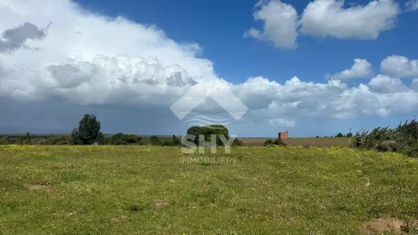 SHY Immobilière - Hammamet