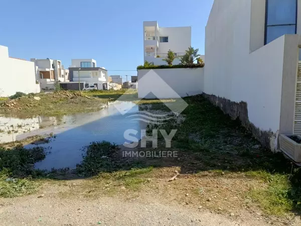 SHY Immobilière - Hammamet