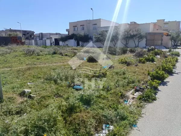 SHY Immobilière - Hammamet